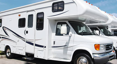 Rv pets 